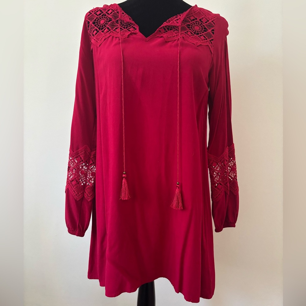 Express Embroidered Mini Dress